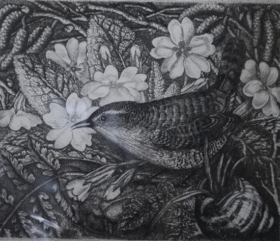 Robin Tanner, wood engraving, Wren and Primrose, 9 x 11cm, unframed